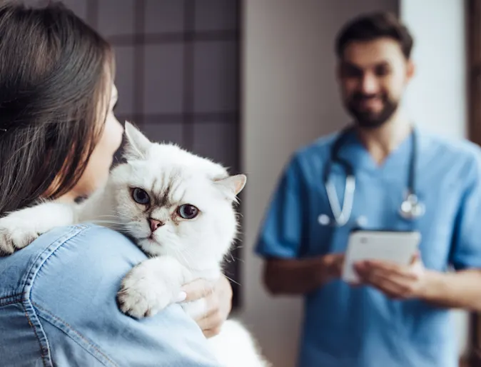 A woman holding a cat with a staff member A woman holding a cat with a staff member