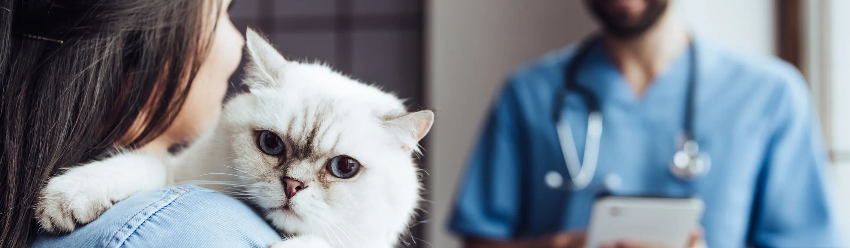 A woman holding a cat with a staff member