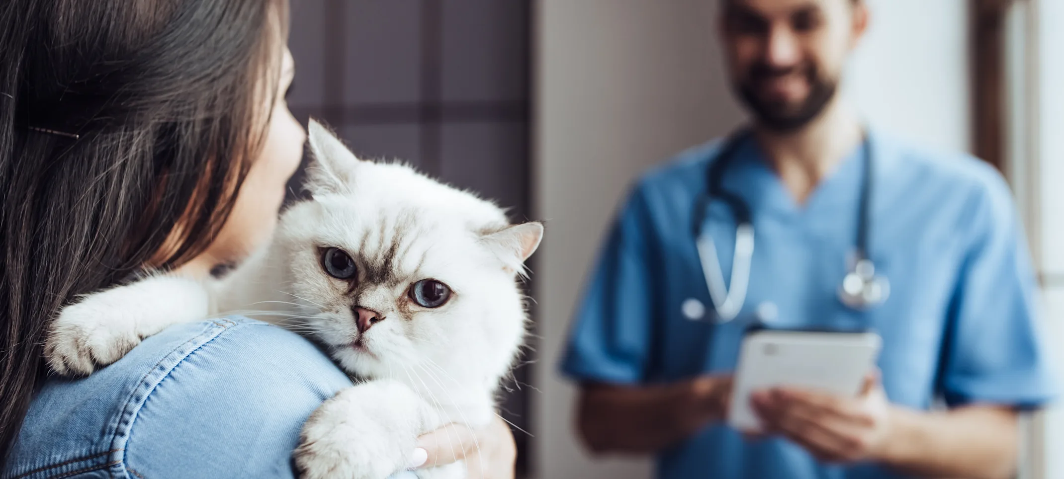A woman holding a cat with a staff member A woman holding a cat with a staff member