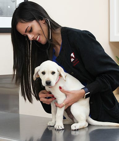 The Animalife Veterinary Center Staff with Dog