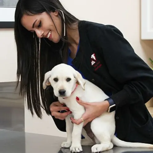 The Animalife Veterinary Center Staff with Dog