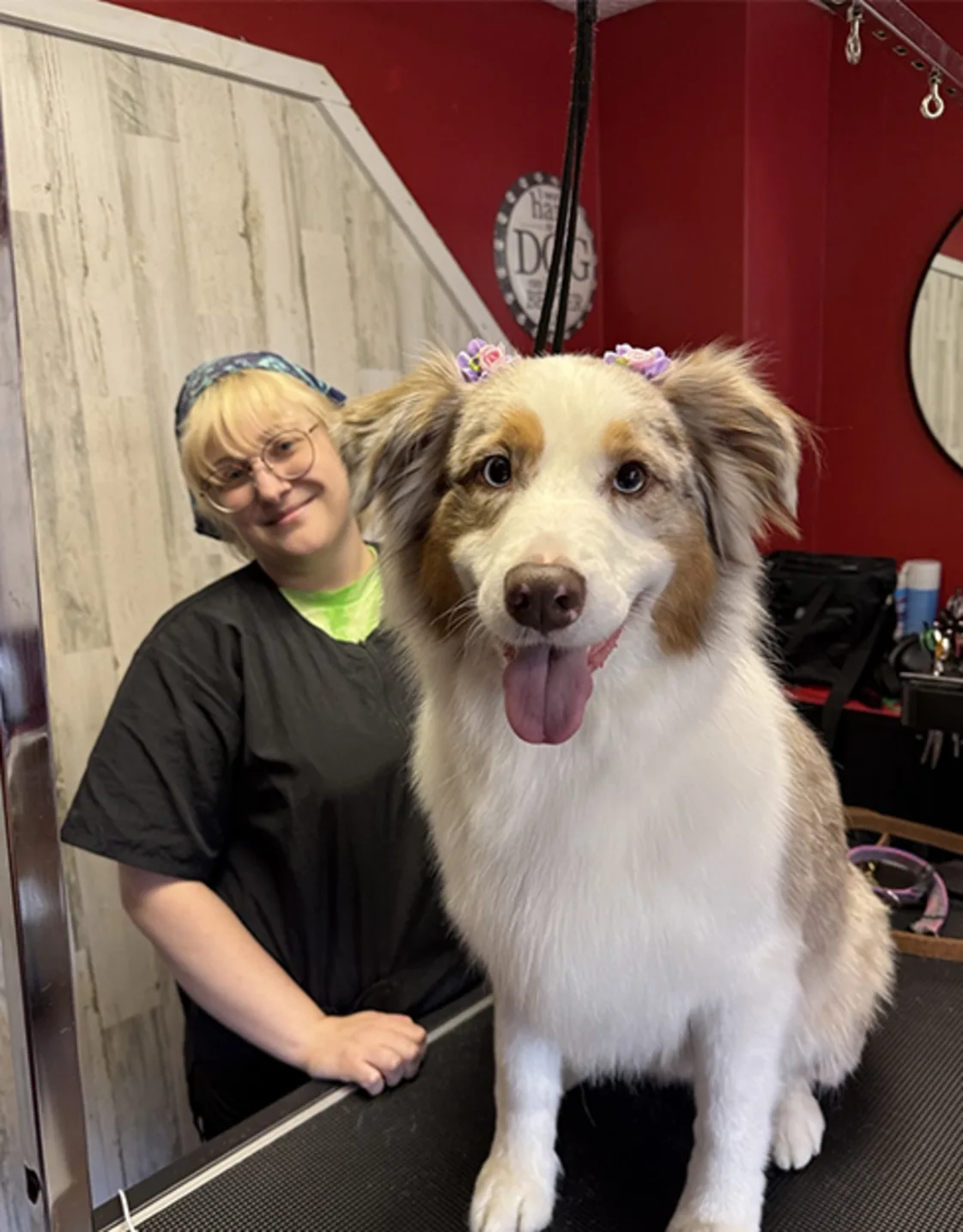 Ari, groomer at Pet Lodge Pet Resort Ari, groomer at Pet Lodge Pet Resort