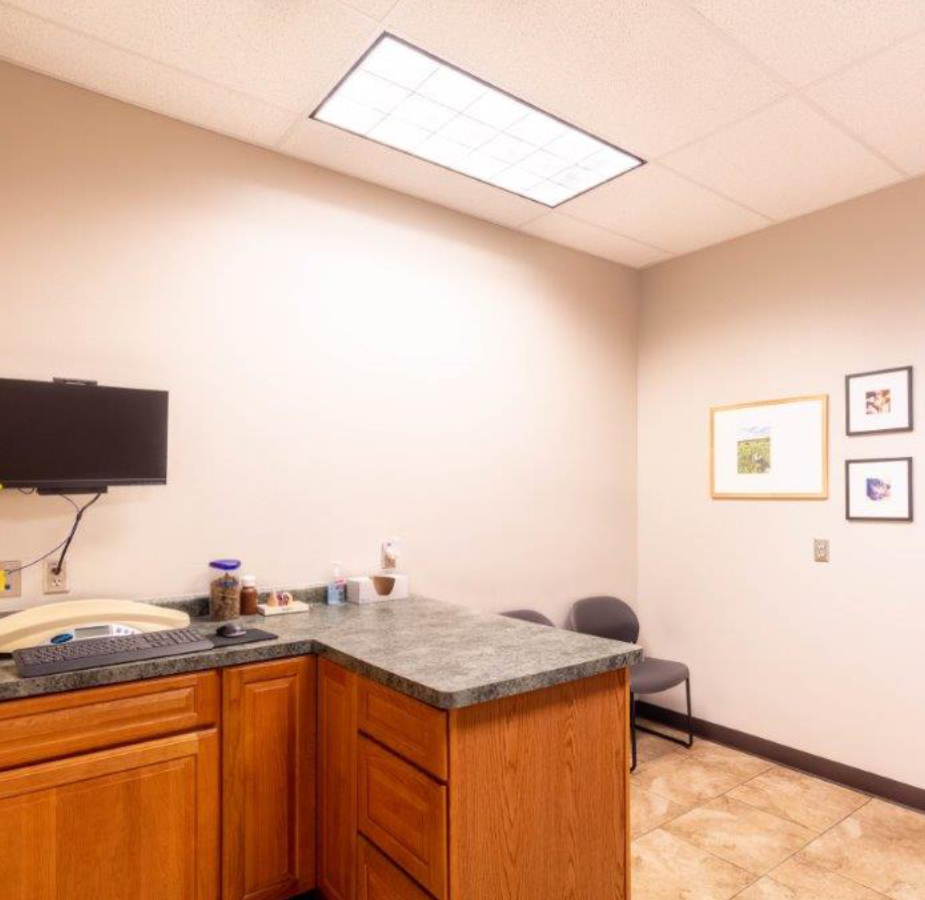 A photo of an exam room at Dunes Animal Hospital