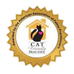 Cat Friendly Practice