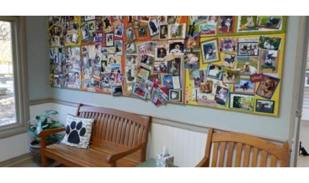 Princess Anne Veterinary Hospital Board