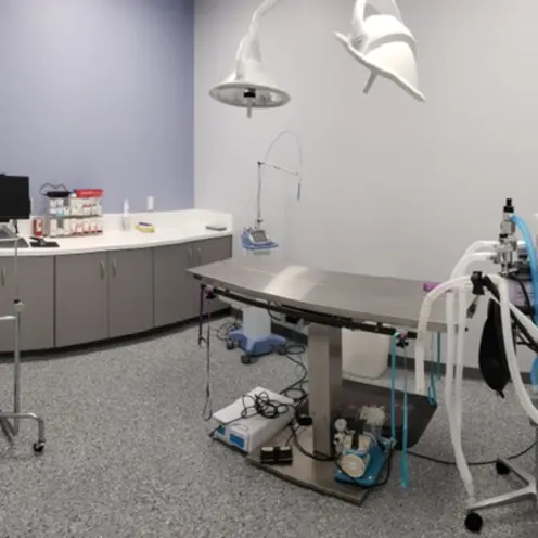 surgery suite at Discovery Bay Veterinary Clinic