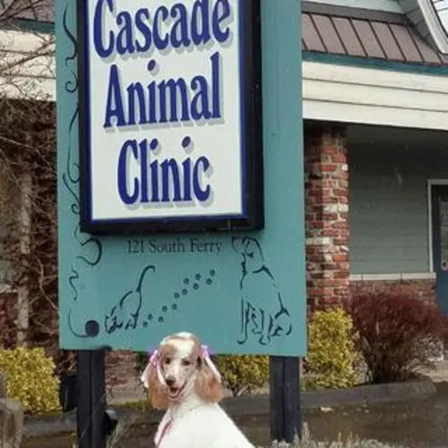 Cascade Animal Clinic Sign