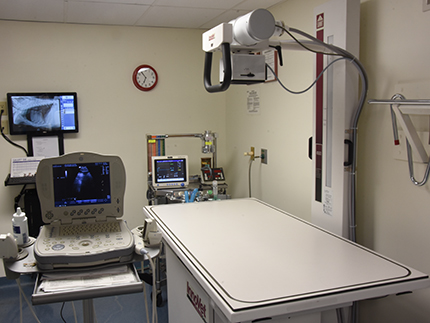 Conrad Weiser Animal Hospital Radiology area.