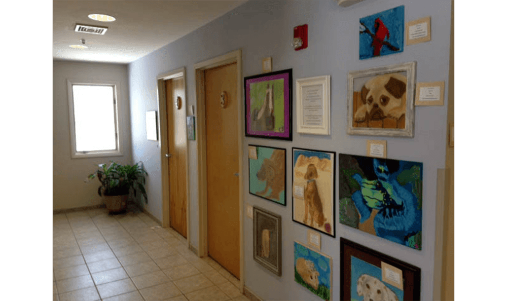 Danvers Animal Hospital