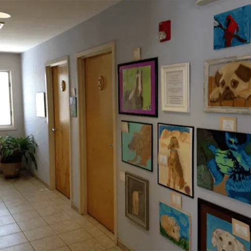 Danvers Animal Hospital Danvers Animal Hospital
