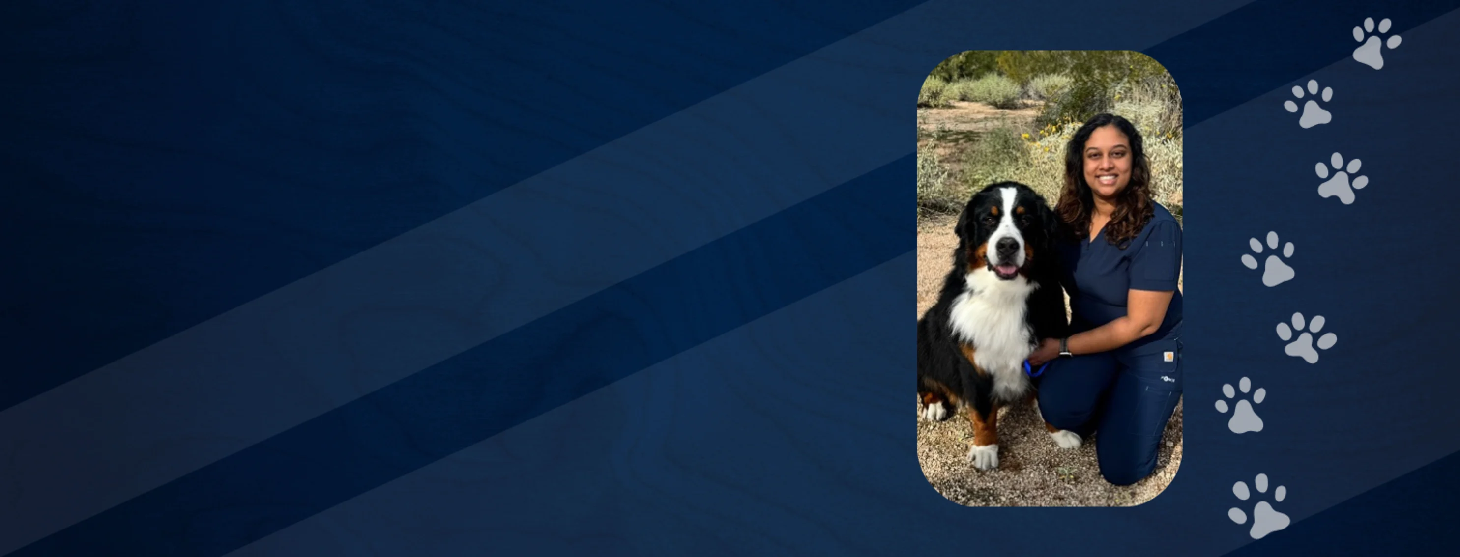 A Warm Welcome to Dr. Brittany Padayachee, DVM A Warm Welcome to Dr. Brittany Padayachee, DVM