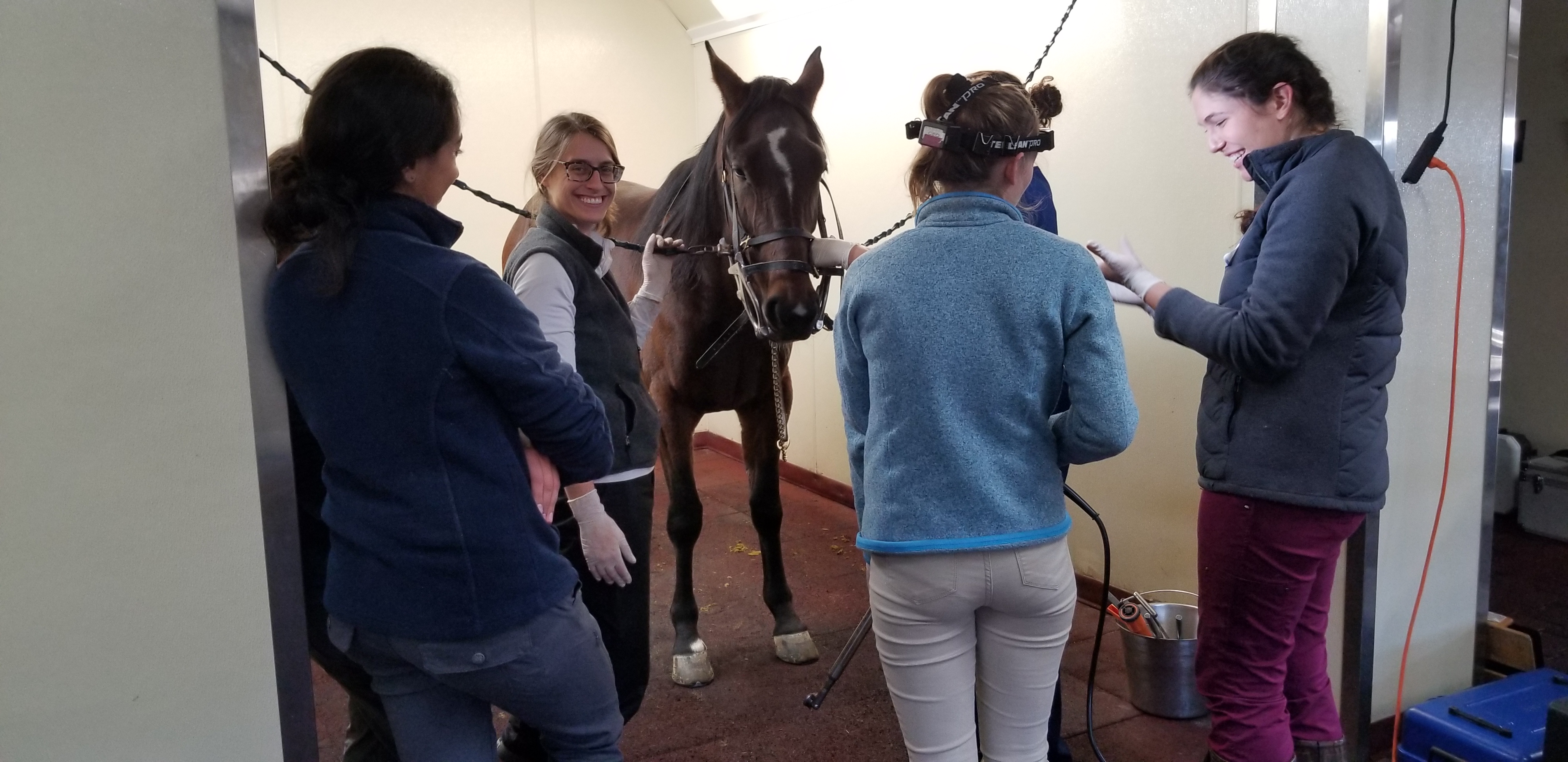 Students Learning About Equine Exams