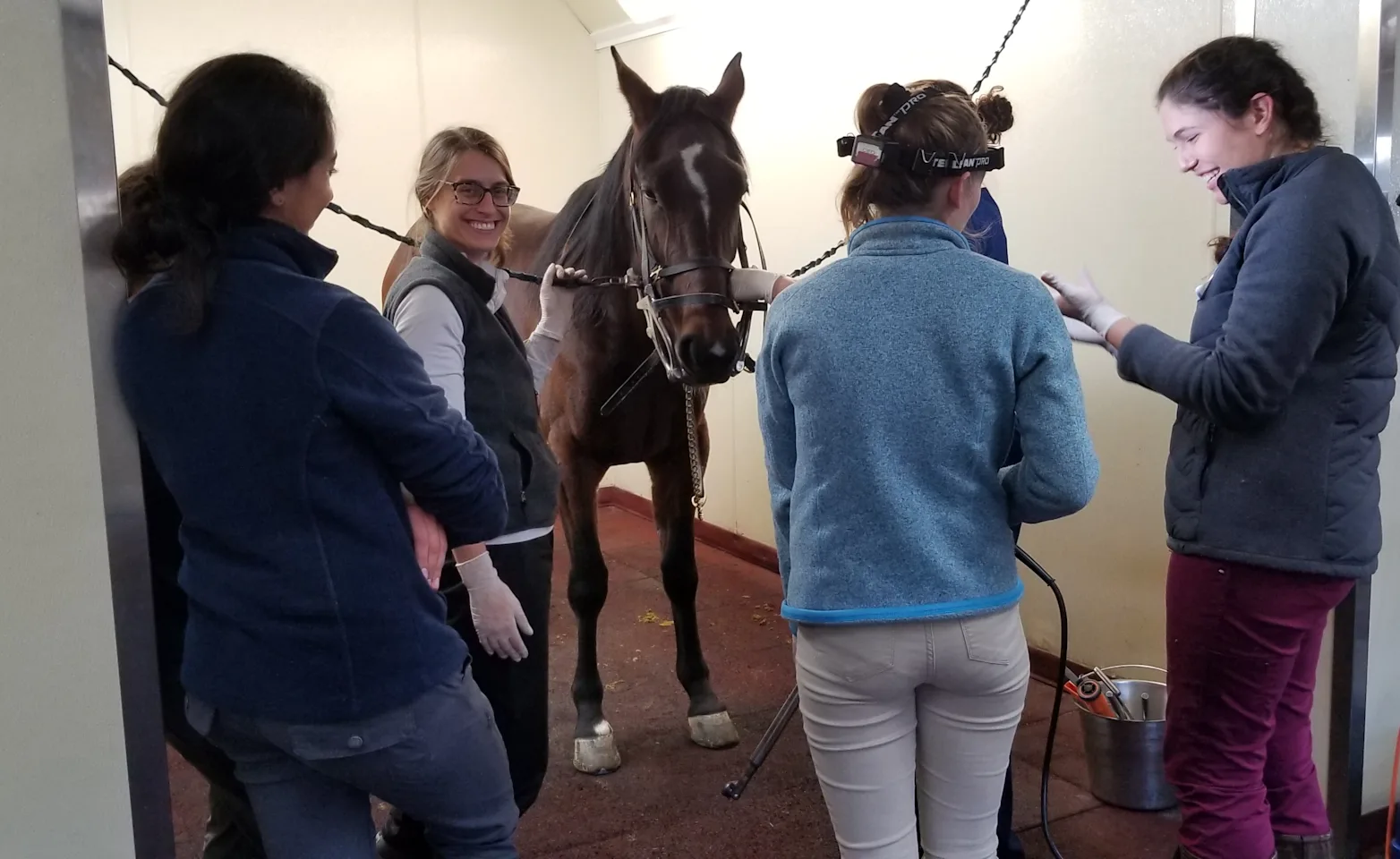 Students Learning About Equine Exams Students Learning About Equine Exams