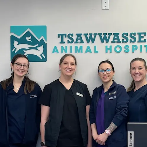 Our Technicians Our Technicians