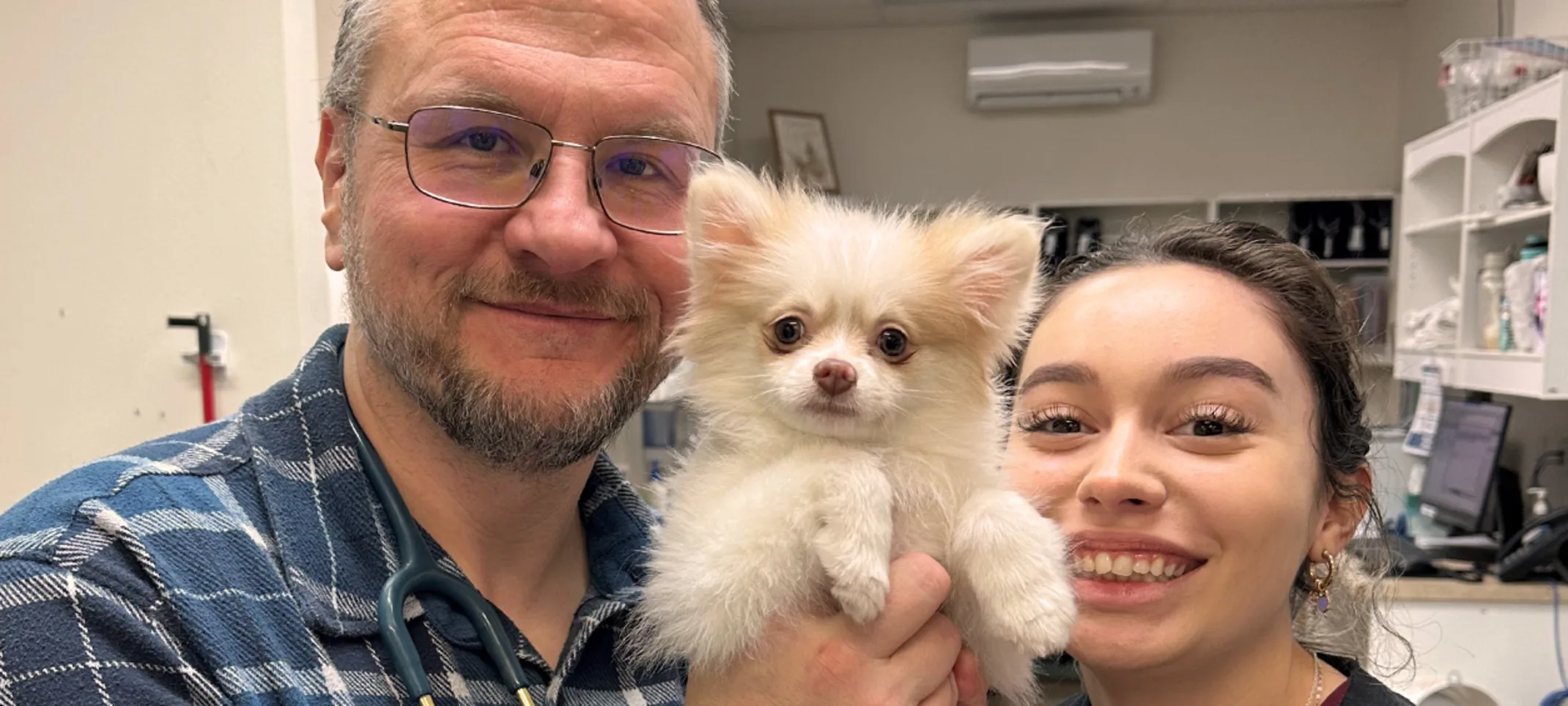 A small puppy being held by two people A small puppy being held by two people