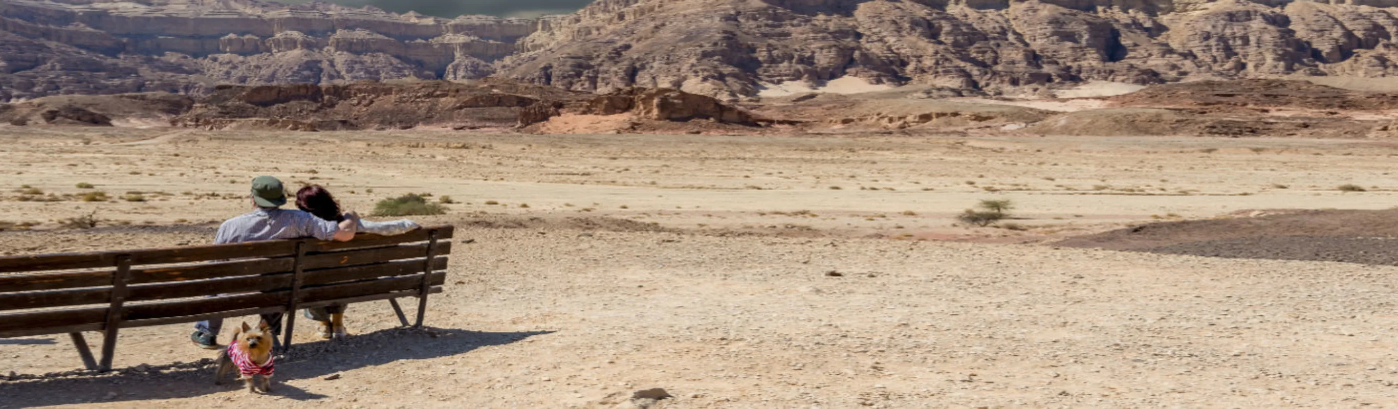 Couple Sitting on a Bench with Dog in the Desert Couple Sitting on a Bench with Dog in the Desert