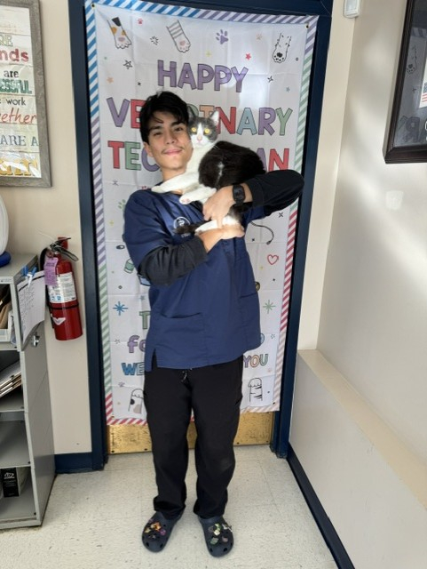 Danny LVT holding cat