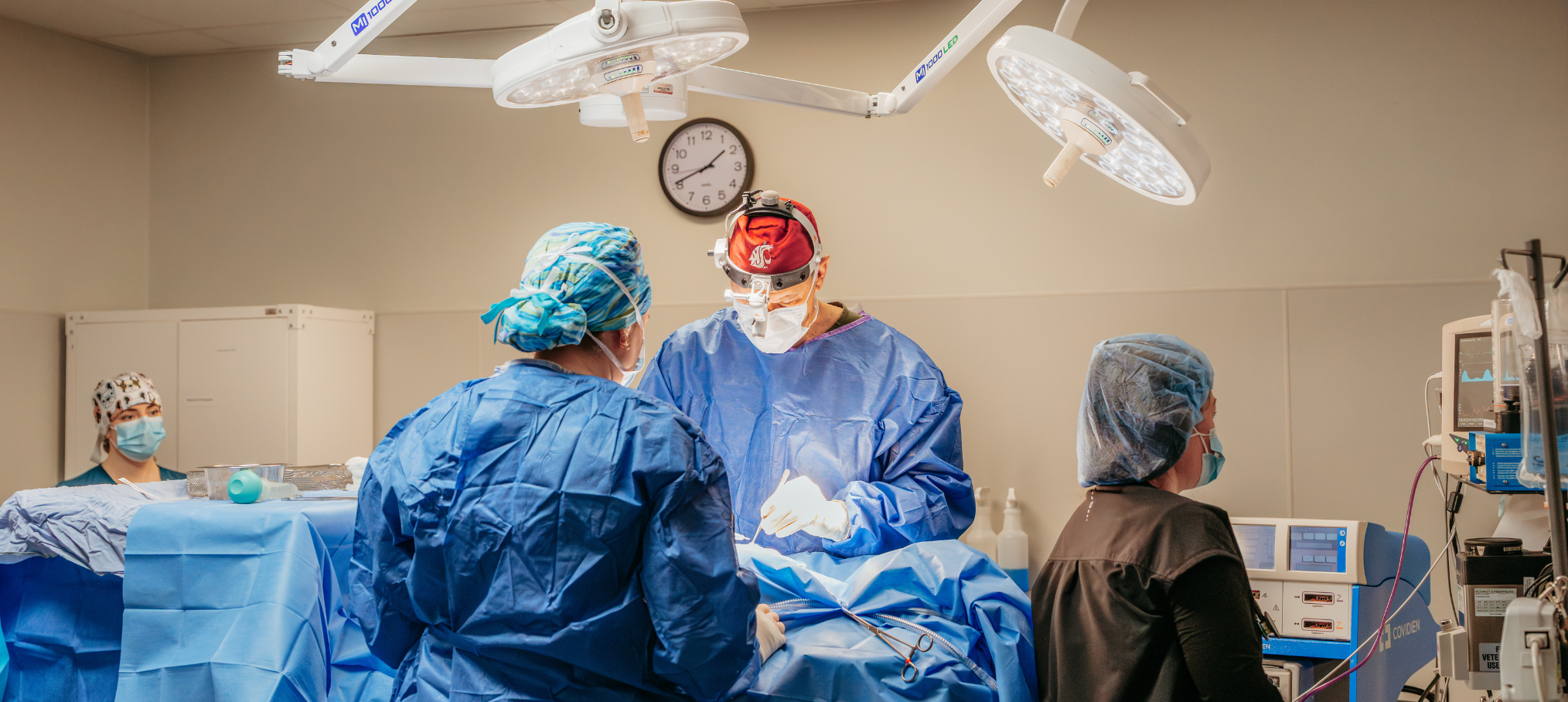 Surgery at Southern Oregon Veterinary Specialty Center