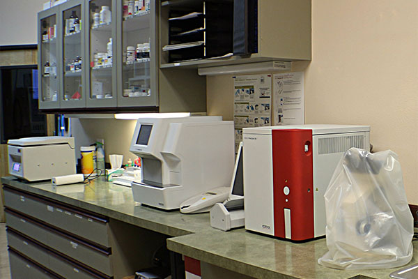 Clinic Pharmacy
