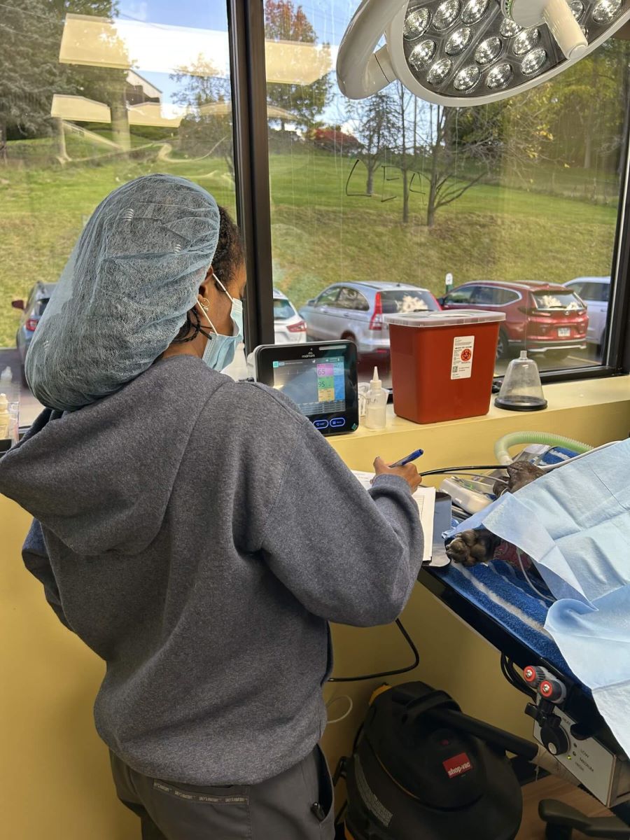 Technician monitoring patient during surgery