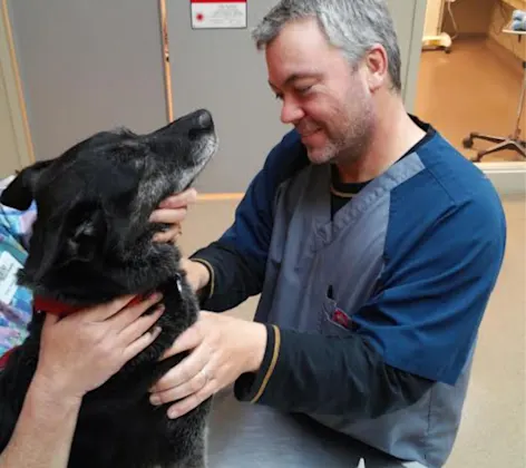 Staff member caring for a black dog on a table Staff member caring for a black dog on a table