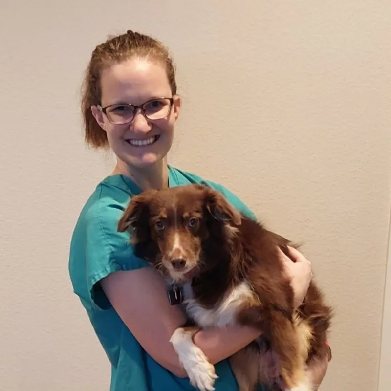 Dr. Elizabeth Thompson Dr. Elizabeth Thompson