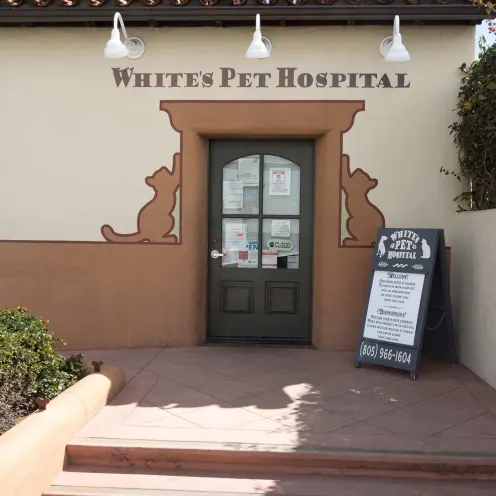White's Pet Hospital front door