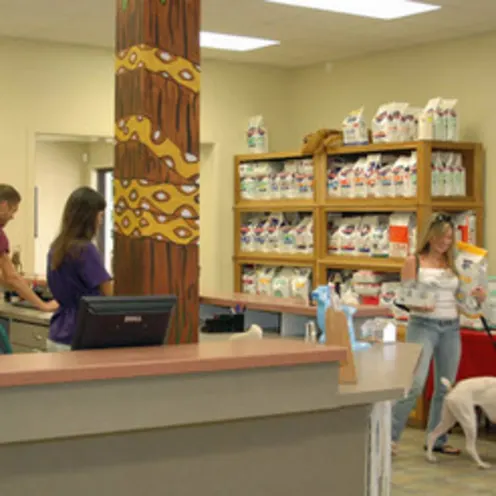 Staff at Galveston Veterinary Clinic helping out a patient. Staff at Galveston Veterinary Clinic helping out a patient.