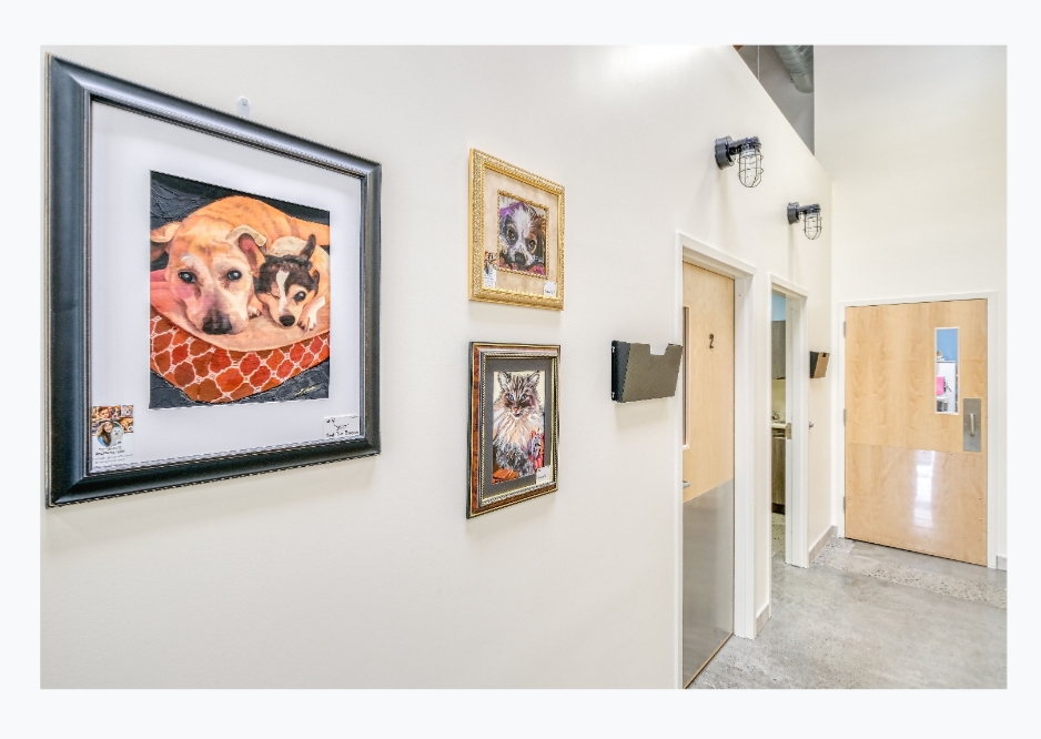 Pet Samaritan Clinic