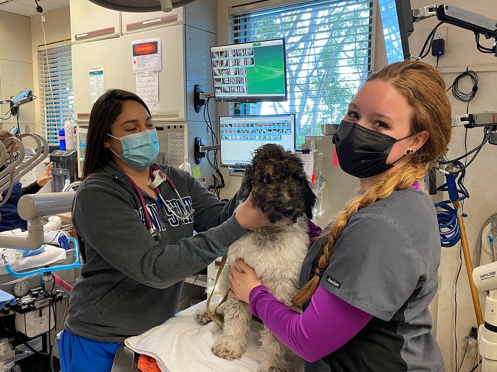 Dr. Padilla and Rachel with medium-sized fluffy dog.
