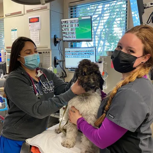 Dr. Padilla and Rachel with medium-sized fluffy dog.