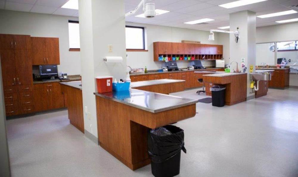 Southside Pet Hospital Large Exam Area