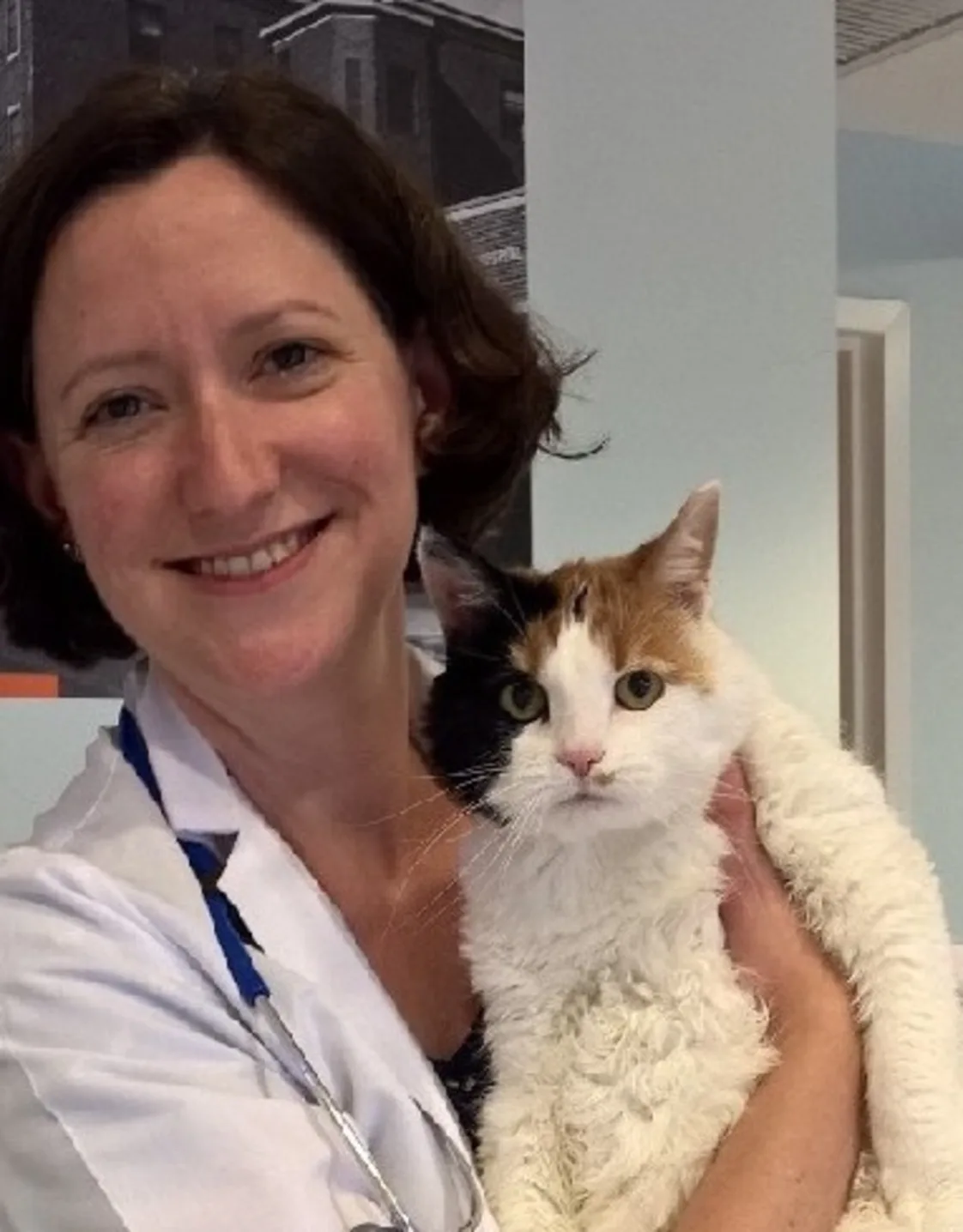 A portrait photo of Dr. Malakoff holding a calico cat A portrait photo of Dr. Malakoff holding a calico cat