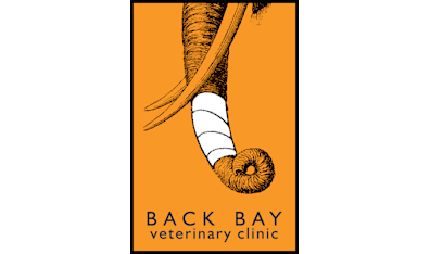 Back Bay Veterinary Clinic