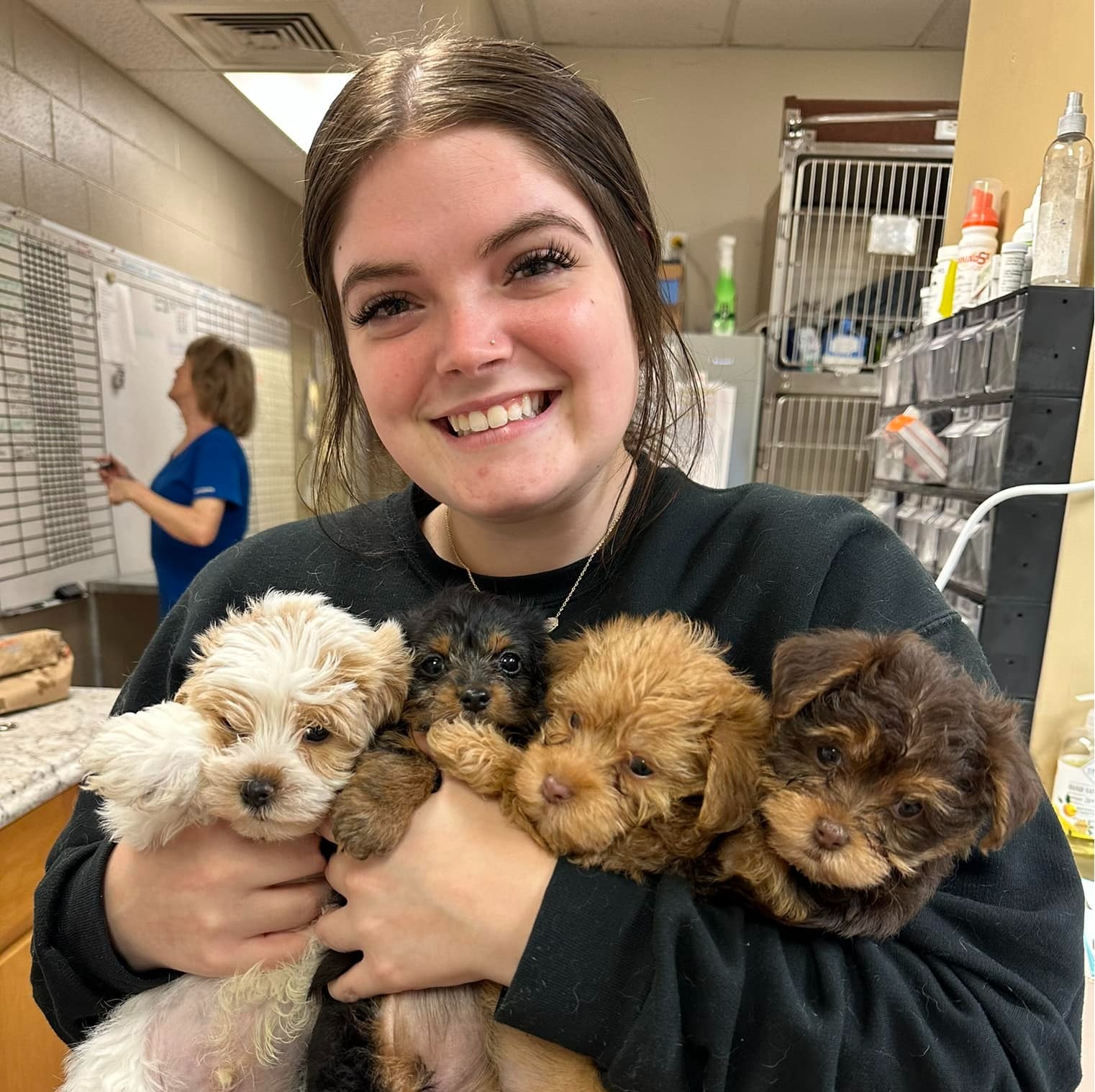 Charity Central Baldwin Veterinary Hospital