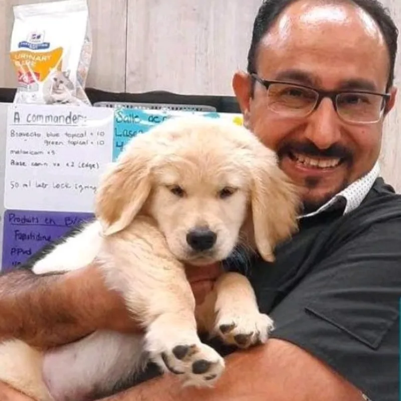 Dr. Assem Khalil Dr. Assem Khalil
