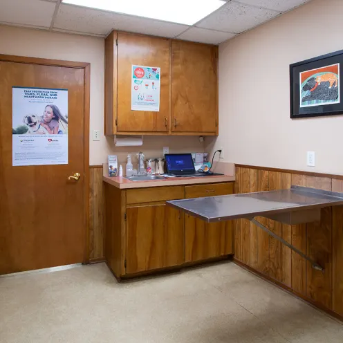 Exam Room at Family Pet Clinic of Grapevine