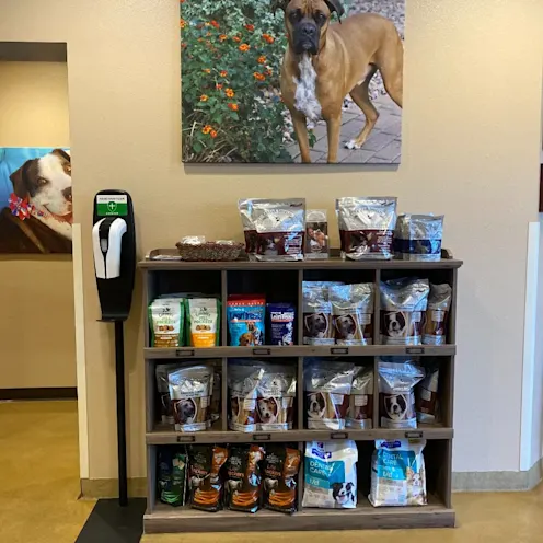 Dog food on a shelf. Dog food on a shelf.