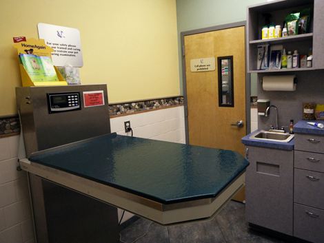 Valley Cottage Animal Hospital Exam Room