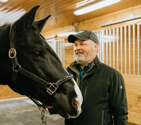 Doctor about to perform a full health exam on a horse. Doctor about to perform a full health exam on a horse.