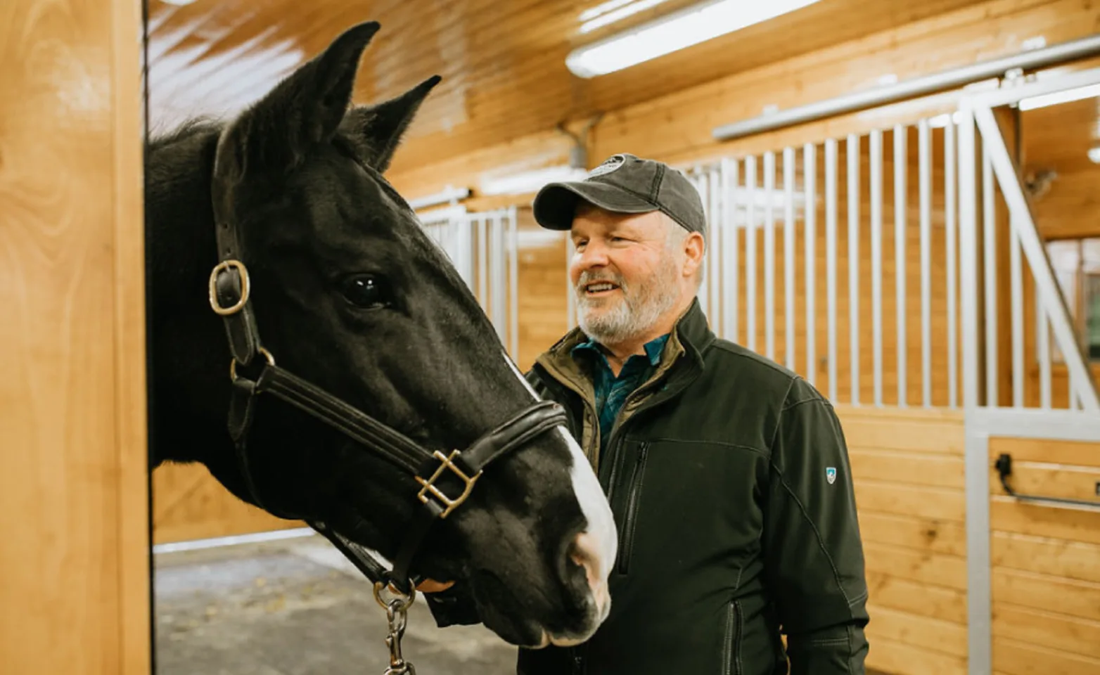Doctor about to perform a full health exam on a horse. Doctor about to perform a full health exam on a horse.