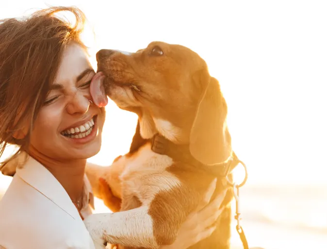 Dog licking woman while playing at the beach