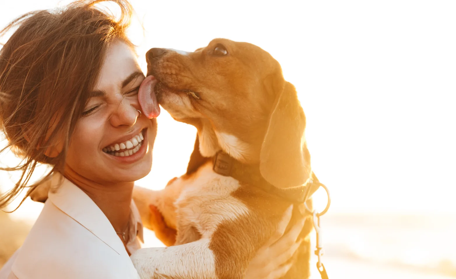 Dog licking woman while playing at the beach Dog licking woman while playing at the beach