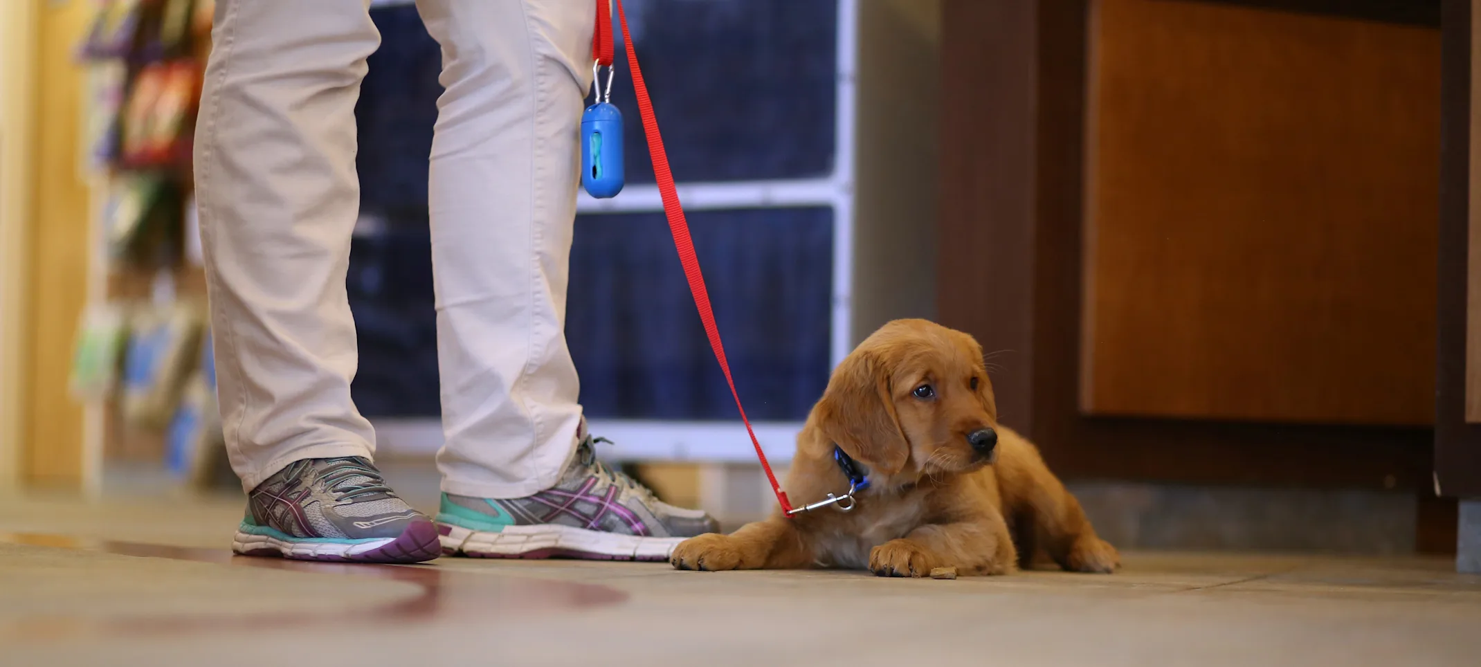 Vaccines and Parasite Prevention Vaccines and Parasite Prevention