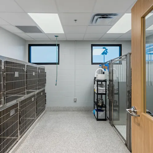 Dog Recovery Area Dog Recovery Area