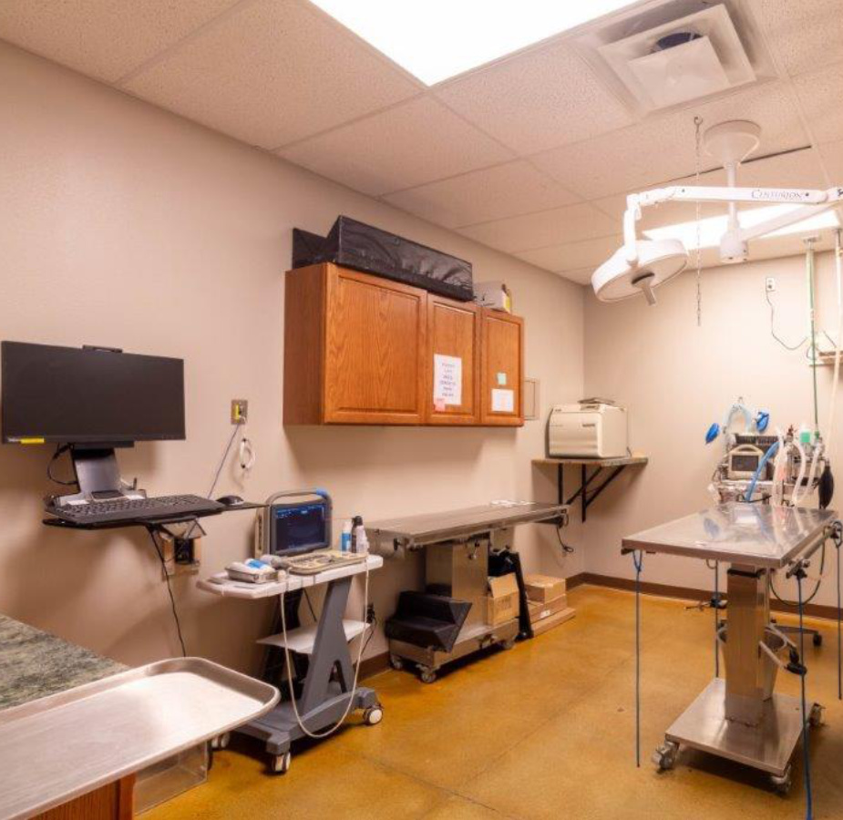 A photo of the surgery room at Dunes Animal Hospital
