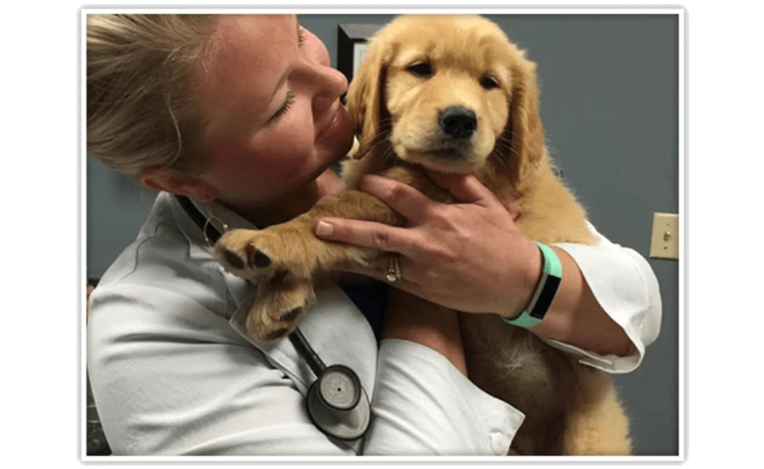 Staff holding dog