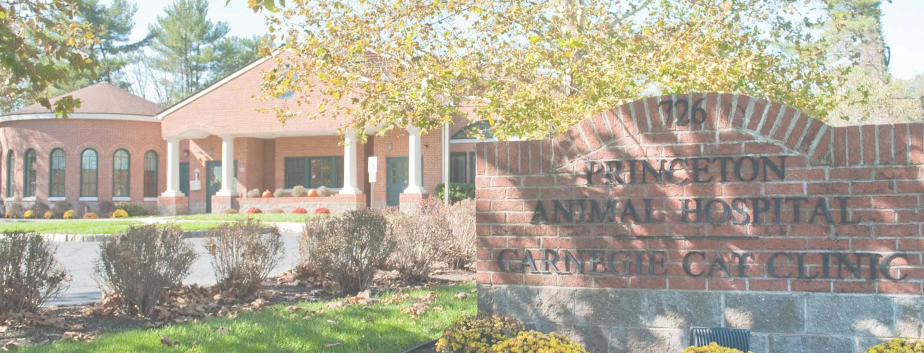 Exterior of Princeton Animal Hospital and Carnegie Cat Clinic in Princeton, NJ