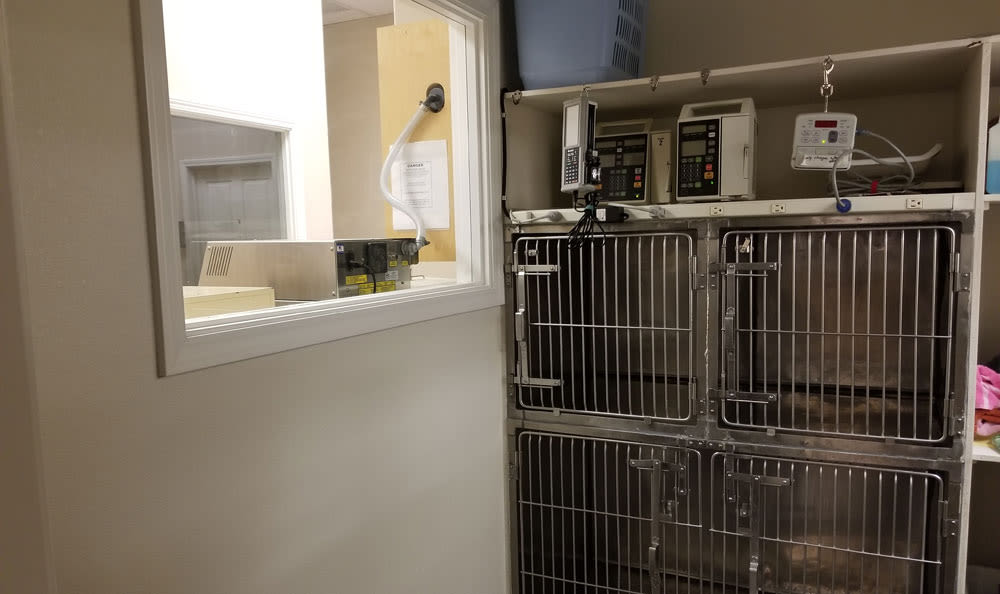 Small pet kennels at Central Coast Pet Emergency Clinic