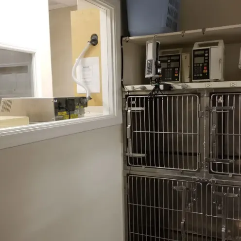 Small pet kennels at Central Coast Pet Emergency Clinic